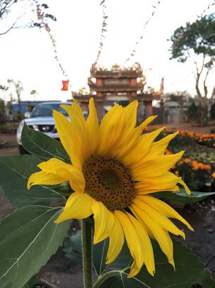 Chùa Hoa Quang (Đăk Nông)