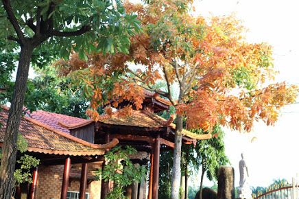 Chùa An Lạc (Tân Thành)